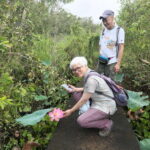 From Ho Chi Minh City: Tan Lap Floating Village Day Trip - Exploring by Boat: Swamp and Greenery