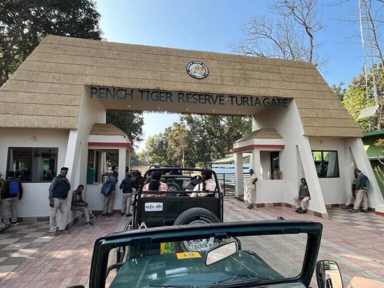 From Jaipur: 2-Day Ranthambore Tiger Safari with transfers - FAQs