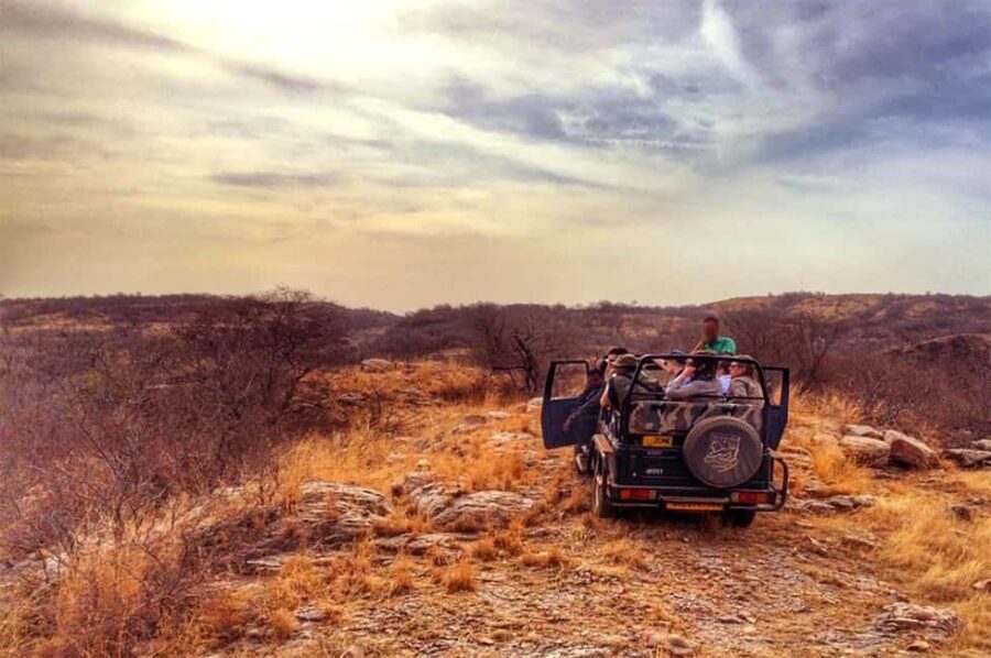 From Jaipur: Praivte Ranthambore Tour By Jeep Canter Safari - Practical Details and Tips