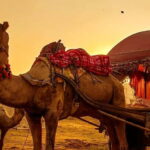 From Jaipur : Private Ajmer Pushkar Tour by Cab - Why This Tour Offers Great Value
