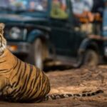 From Jaipur: Private Ranthambore Day Trip with Tiger Safari - Exploring Ranthambore National Park