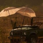 From Jaipur: Ranthambore National Park Day Trip with Safari - Why This Tour Offers Good Value