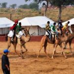 From Jodhpur: Overnight Camping with Camel Safari In Jodhpur - Value and Authenticity: What This Tour Means for You