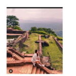 From : Kandy, Sigiriya, Dambulla Guided Day Tours for 2 Days - Who Is This Tour Best For?