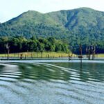 From Kochi: 3-Day Periyar Wildlife Sanctuary Tour - The Value of This Experience