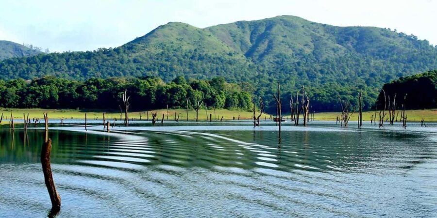 From Kochi: 3-Day Periyar Wildlife Sanctuary Tour - The Value of This Experience