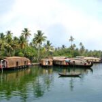From Kochi: Alleppey Houseboat Day Cruise - Price and Value Analysis