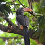 From Kochi:- Periyar Elephant Bath, Nature Walk Guided Tour - Why This Tour Offers Great Value