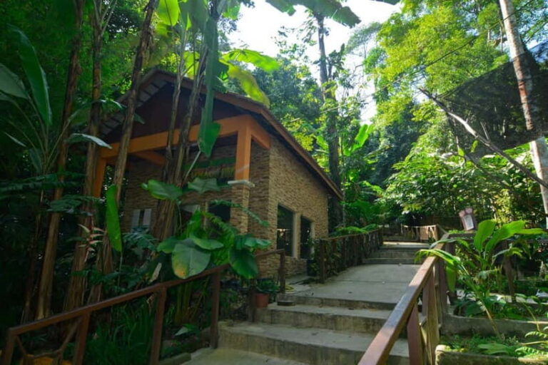 From Kuala Lumpur: Taman Negara Private Tour - Who Would Enjoy This Tour?