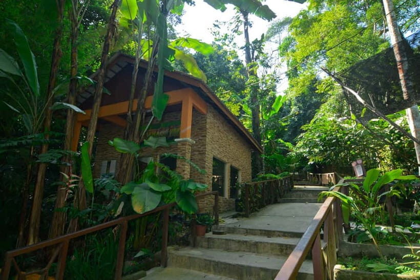 From Kuala Lumpur: Taman Negara Private Tour - Who Would Enjoy This Tour?