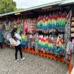 From Kyoto & Osaka: Kyoto Top Attractions Private Day Tour - What Makes This Tour Stand Out