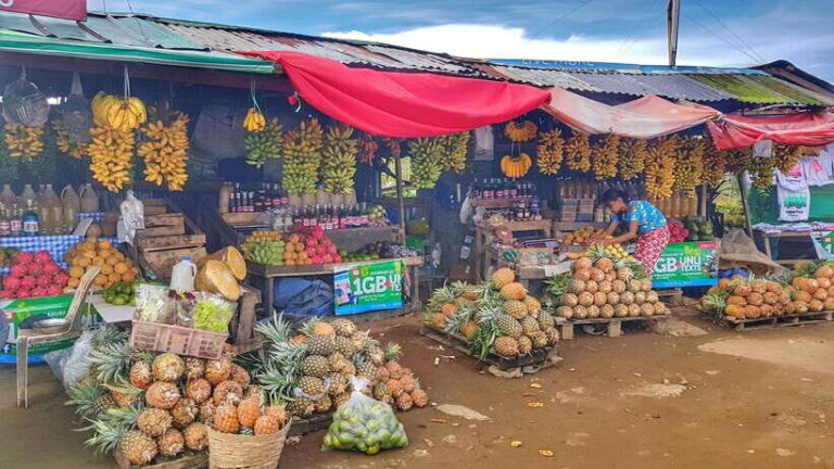 From Manila: Tagaytay Countryside Wonders: A Half-Day Tour - Why Choose the Tagaytay Countryside Wonders Tour?