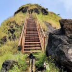 From Mumbai: Sondai Fort Guided Trek with Meals & Transfers - Why Travelers Love This Tour