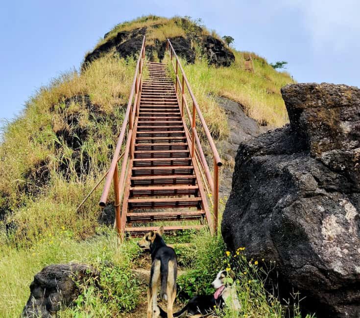 From Mumbai: Sondai Fort Guided Trek with Meals & Transfers - Why Travelers Love This Tour