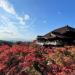 From Nagoya: Kyoto Day Tour with Kobe Beef Shabu-Shabu Lunch - Itinerary Breakdown: What You’ll Experience