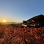 From Nagoya: Kyoto Day Tour with Pork Shabu-Shabu Lunch - What to Expect: Practical Details