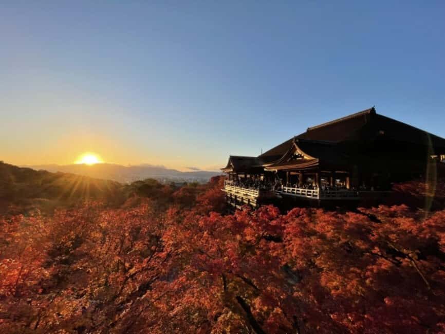 From Nagoya: Kyoto Day Tour with Pork Shabu-Shabu Lunch - What to Expect: Practical Details