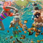 From Nha Trang: Snorkeling, BBQ and Mud Bath Day Trip - Practical Details & Tips