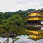From Osaka/Kyoto: Private Kyoto and Nara Day Trip - What You Can Expect from the Experience