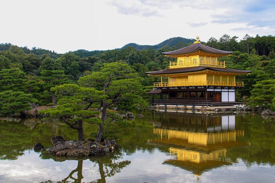 From Osaka/Kyoto: Private Kyoto and Nara Day Trip - What You Can Expect from the Experience