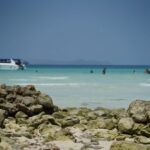 From Pattaya/Bangkok: Island Day Trip with Beach Activities - Who Is This Tour Best For?