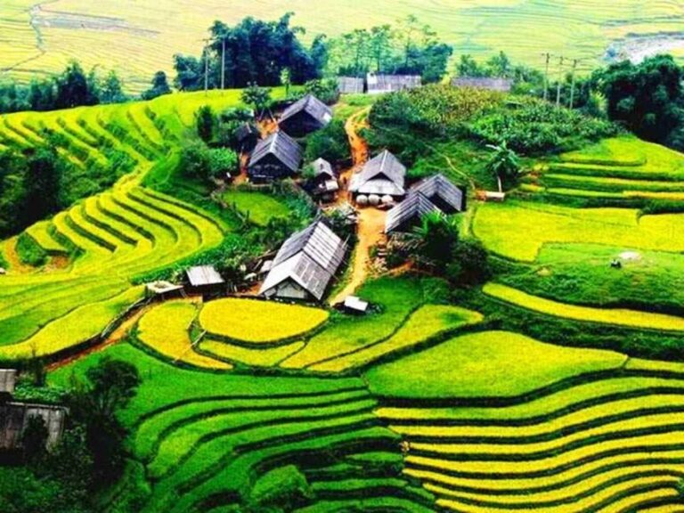 From Sapa: Full-Day Trekking Tour Lao Chai & Ta Van Villages - Insights from Real Travelers