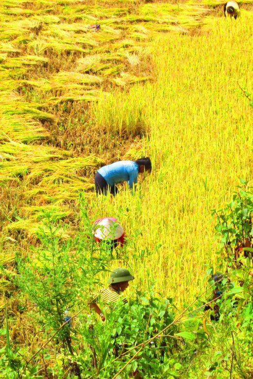 From Sapa: Waterfalls, Trekking and Tribal Villages Tour - Detailed Itinerary Breakdown