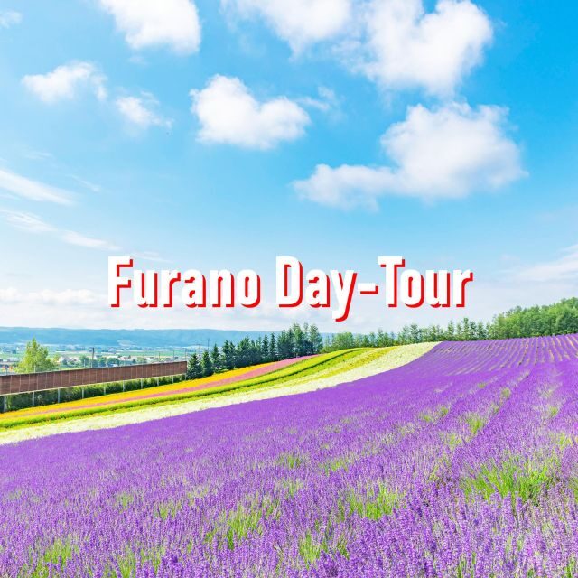 From Sapporo: 10-hour Customized Private Tour to Furano - Iconic sights: Biei Blue Pond and Furano’s natural beauty