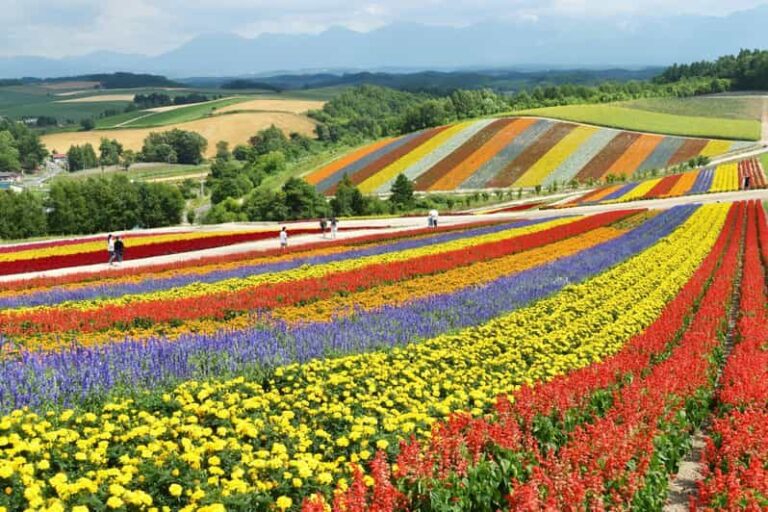 From Sapporo: Furano and Biei Vibrant Fields Tour - Practical Details and What to Expect
