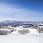 From Seoul: Balwangsan Cable Car and Daegwallyeong Ranch - The Balwangsan Cable Car Experience