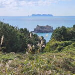 From Seoul: Cycling Tour from Tongyeong to Geoje - What the Tour Includes and What to Consider