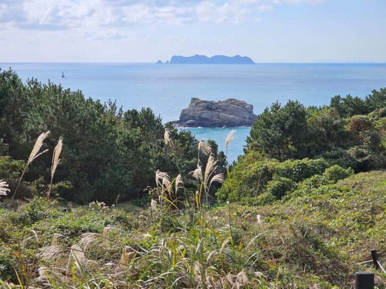 From Seoul: Cycling Tour from Tongyeong to Geoje - What the Tour Includes and What to Consider