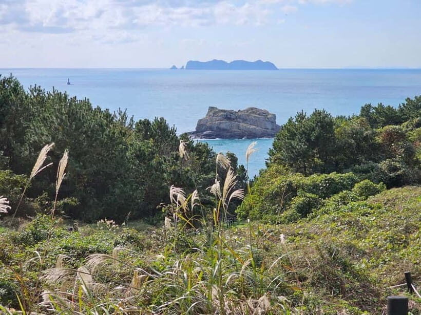 From Seoul: Cycling Tour from Tongyeong to Geoje - What the Tour Includes and What to Consider