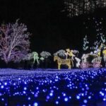 From Seoul: Hwacheon Ice Fishing and Lighting Festival Tour - Why You Should Consider This Tour