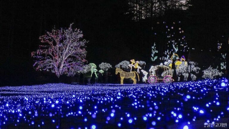 From Seoul: Hwacheon Ice Fishing and Lighting Festival Tour - Why You Should Consider This Tour