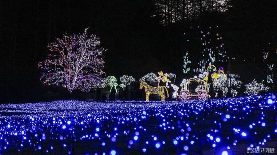 From Seoul: Hwacheon Ice Fishing and Lighting Festival Tour - Why You Should Consider This Tour