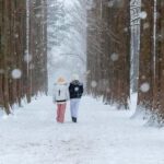 From Seoul: Nami Island, Korean Garden & Rail Bike Day Trip - Why We Love This Tour