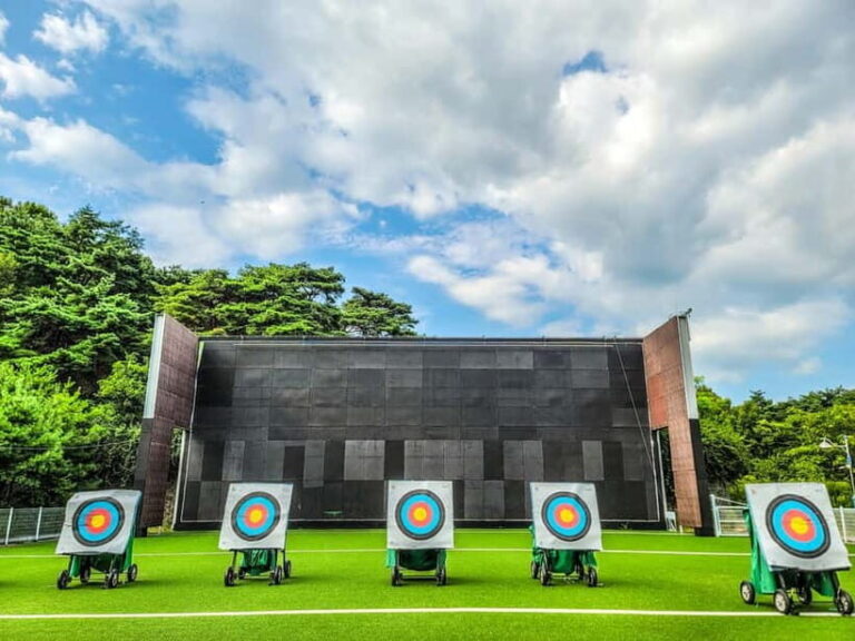 From Seoul: Private Archery and Shooting Tour - The Experience Details