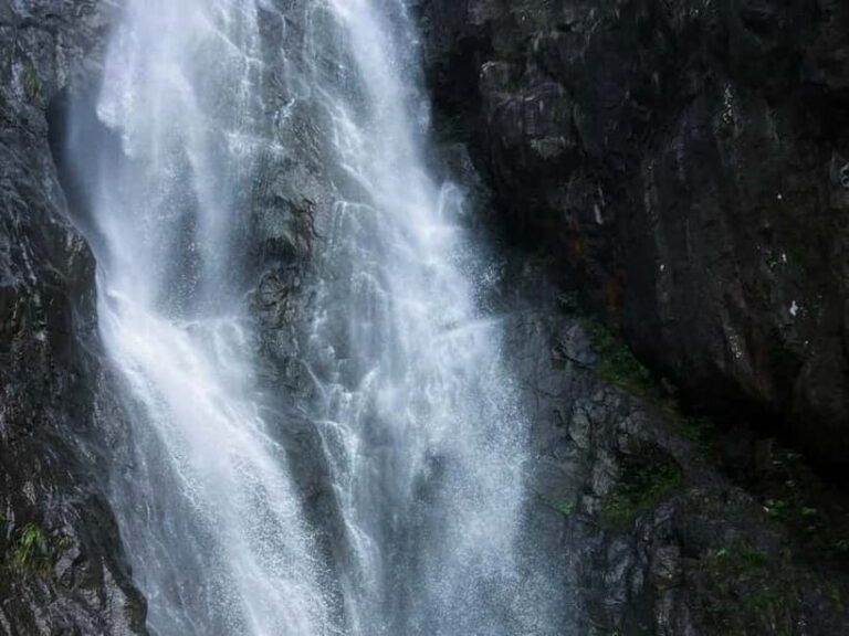 From Shanghai: Xiaoshao Ancient Road Journey - Practical Details and Value