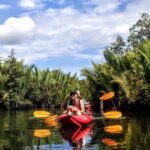 From Tagbilaran City/Panglao Island: Bohol Mangrove Kayaking - Why This Tour Offers Incredible Value