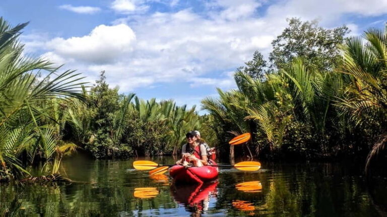From Tagbilaran City/Panglao Island: Bohol Mangrove Kayaking - Why This Tour Offers Incredible Value