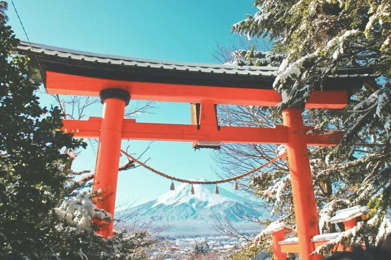 From Tokyo: 1 Full Day Mount fuji Sightseeing Trip - The Realities of the Experience: What Travelers Say