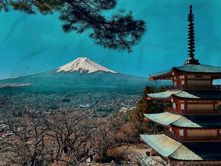 From Tokyo: Mount Fuji And Hakone Private Guided Day Trip - What to Expect from the Tour