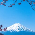 From Tokyo: Mount Fuji Customize Tour With English Driver - What We Loved About the Tour