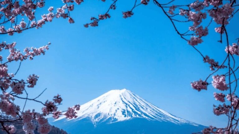 From Tokyo: Mount Fuji Customize Tour With English Driver - What We Loved About the Tour