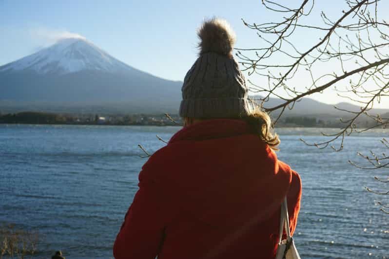 From Tokyo: Mount Fuji Full Day Customizable Private Tour - The Itinerary in Detail