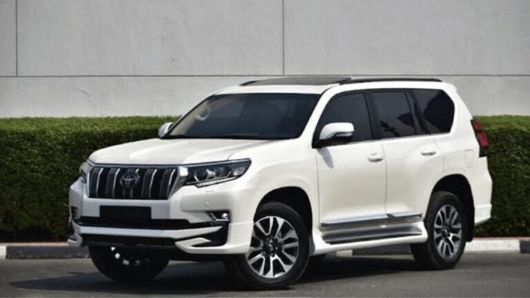 From Tokyo : Mount Fuji Private Day Tour with English Driver - The Itinerary in Detail: What to Expect