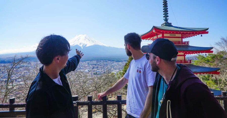 From Tokyo: Mt. Fuji Day Tour w/ Private Car & Nature Guide - What Makes This Tour Stand Out?