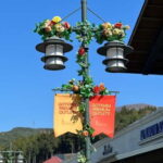 From Tokyo: Mt.Fuji & Gotemba Private Customizable Day Trip. - Comfort and Convenience