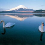From Tokyo: Mt Fuji & Kawaguchi Lake private day trip - The True Value of This Private Day Trip